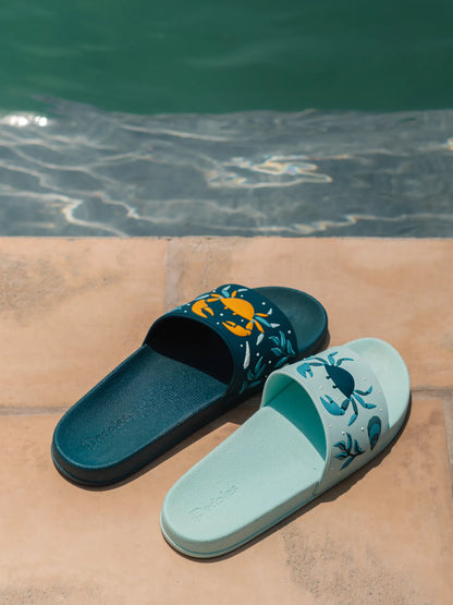 slides-sea-crab-ce/ce81915a0e2d303f595d341f258bfd6ca2312d78