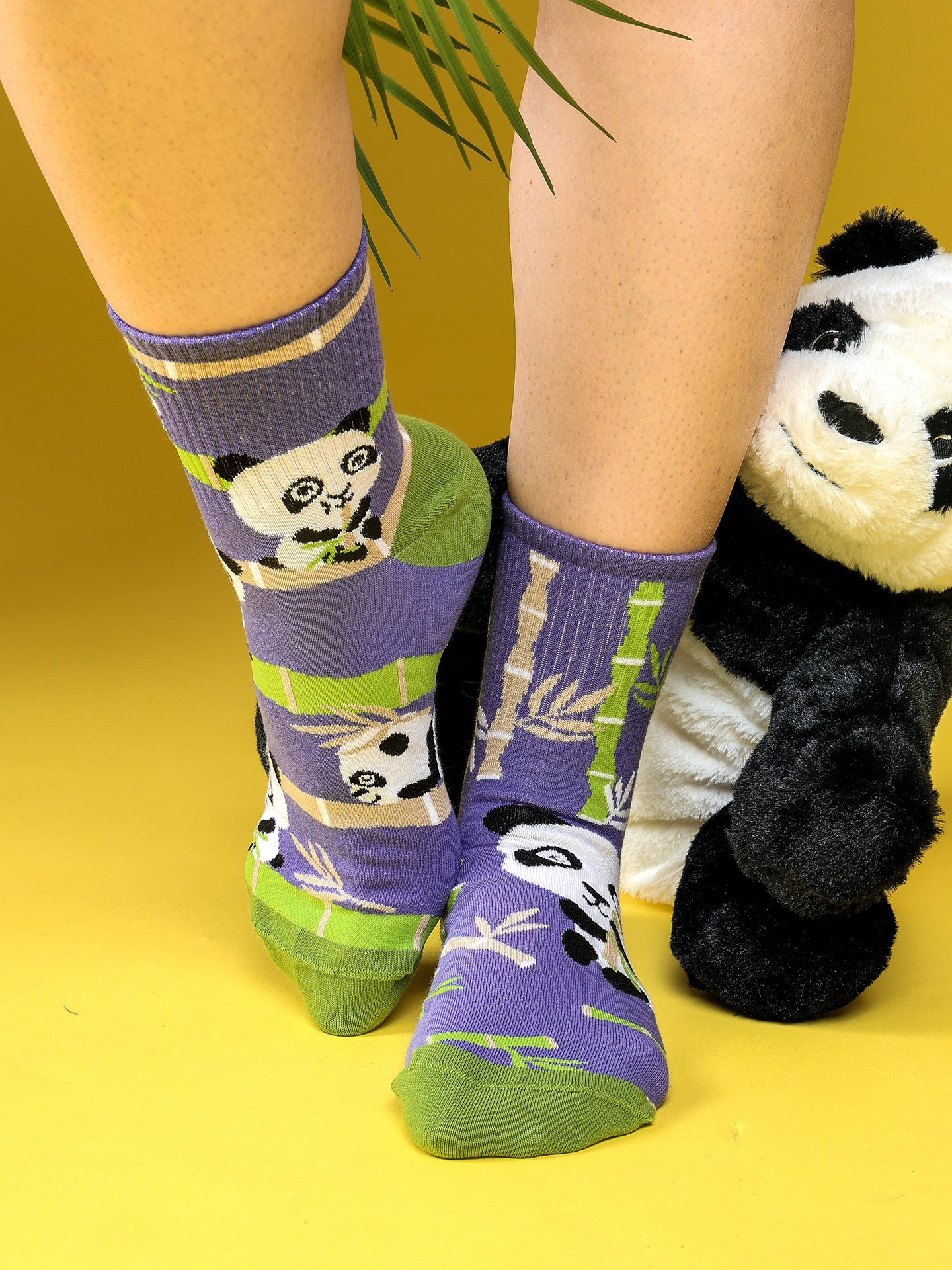 crew-socks-panda-acrobat-02-ab/ab4604ccf97578b6d0ab20fcf5496f7944b4f035