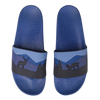 Slides Deer in Forest