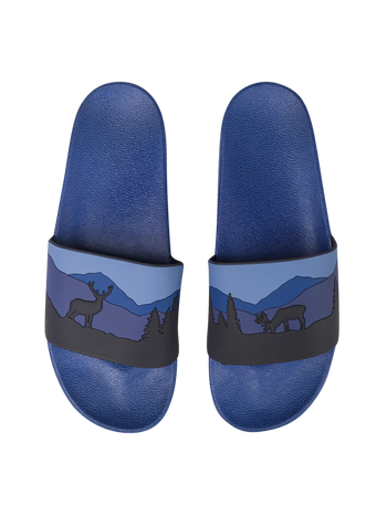 Slides Deer in Forest