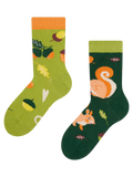 Kids' Socks Squirrel