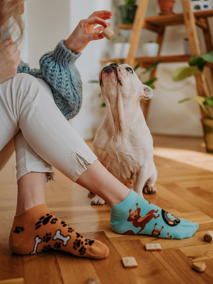 ankle-socks-dachshund-02-9d/9d02cbf2db86a744c0c4c615906b8b7361e89821