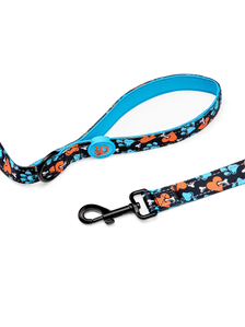 Dog Leash Hearts & Paws