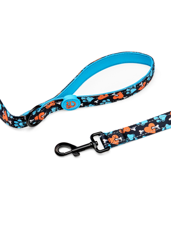 Dog Leash Hearts & Paws