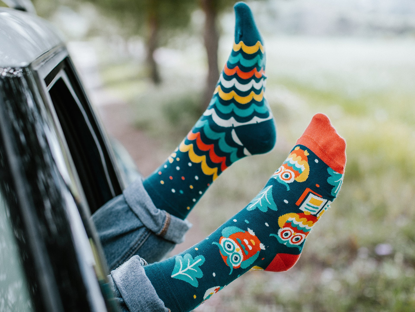 regular-socks-wise-owl-02-33/33f5c6868426c7aec6dfa7f2d68ac50844db485f