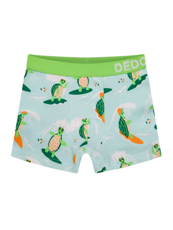 Boys' Boxers Turtle the Surfer
