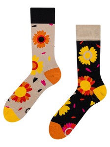 Regular Socks Loves Me, Loves Me Not