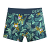 Boys' Boxers Tiger
