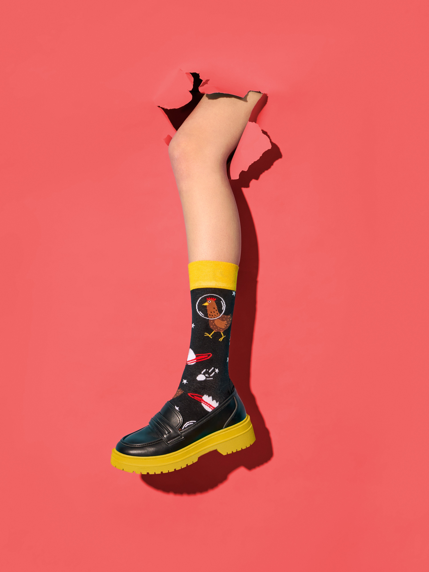 regular-socks-hen-astronaut-02-08/0890335c37360f34432a7695a36c3afb9e63b5d4