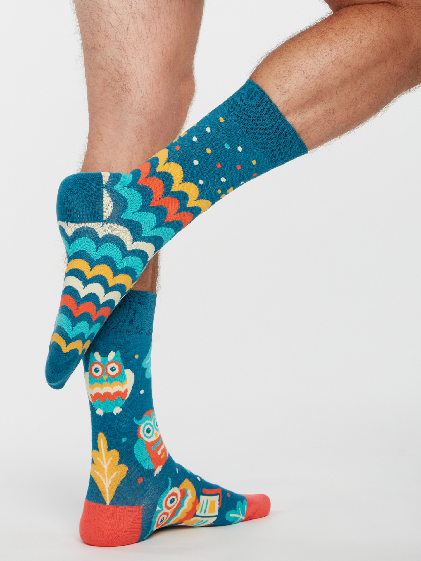 regular-socks-wise-owl-02-a9/a90c7fcdef48d3db71641e6efb760c5781dcda15