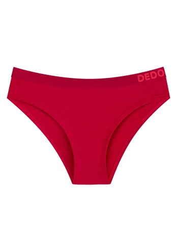 Raspberry Dream Women's Modal Briefs