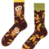 Regular Socks Curious Owl