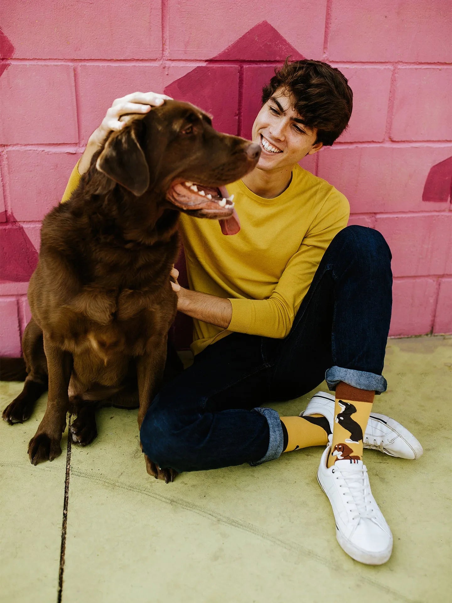 regular-socks-dachshunds-e1/e1bcf5e995d6d3b9b44fdf60117df300221a598b