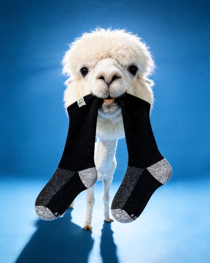 black-grey-alpaca-socks-e3/e3702e0436ecb885e76a969184686125a26a7c71