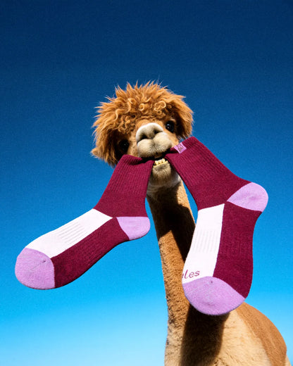 burgundy-purple-alpaca-socks-e4/e4e4f83b2ee6e5538883b6666e6984427c6b01b8