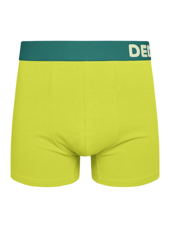 Light Lime Men's Trunks
