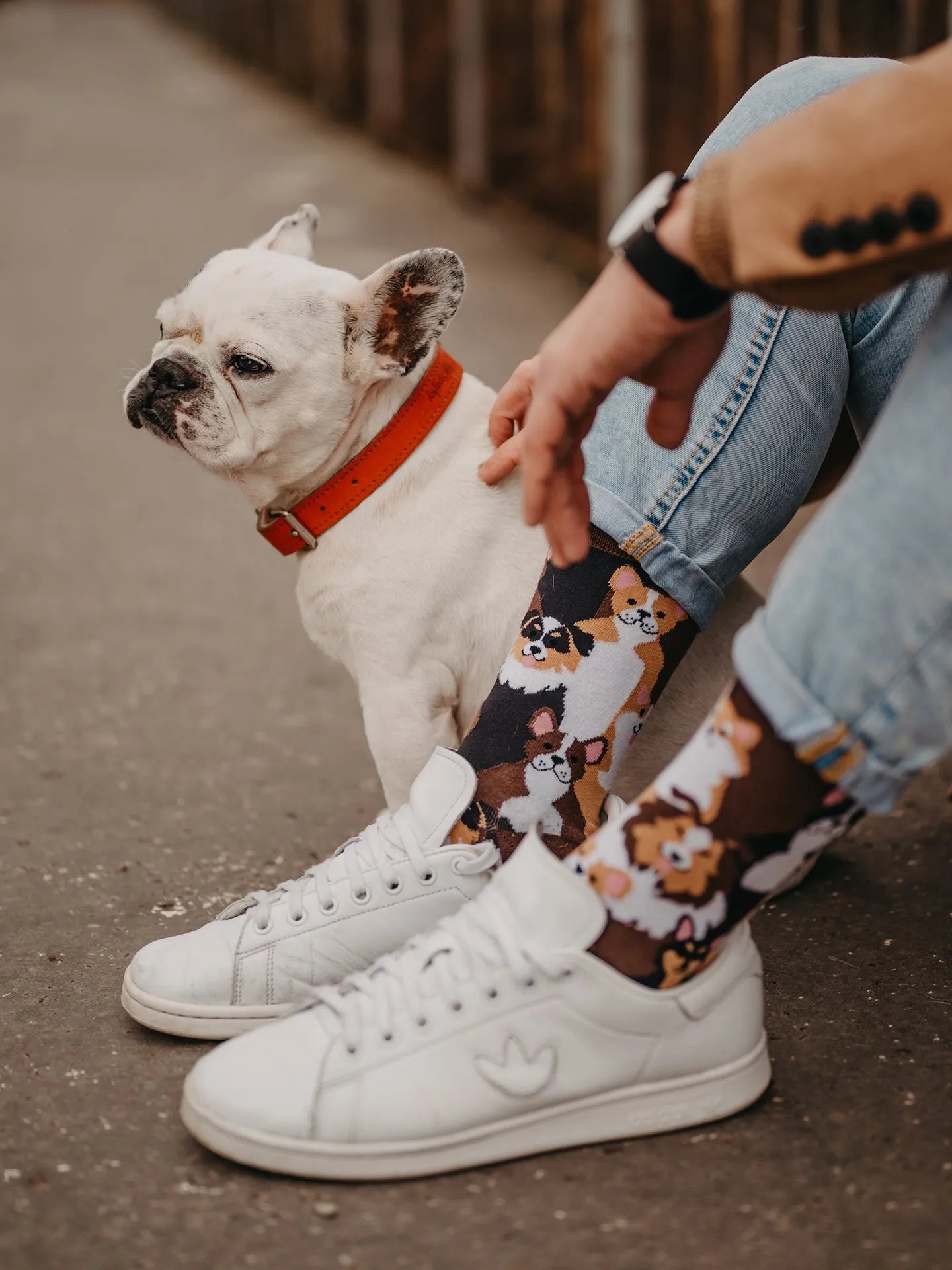 regular-socks-doggies-02-e6/e6eabeb756d17e7ec5b8c96c122273952e64d0e9