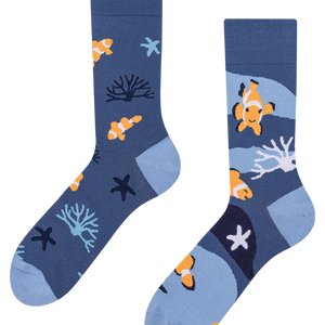 Regular Socks Clown Fish