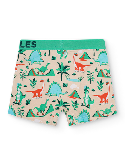 boys-boxers-dino-skatepark-okt-6e/6ec4ae7032d77e20fd64f3dafe44bc700c906a52