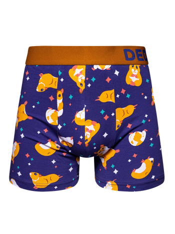 Men's Trunks Hamster