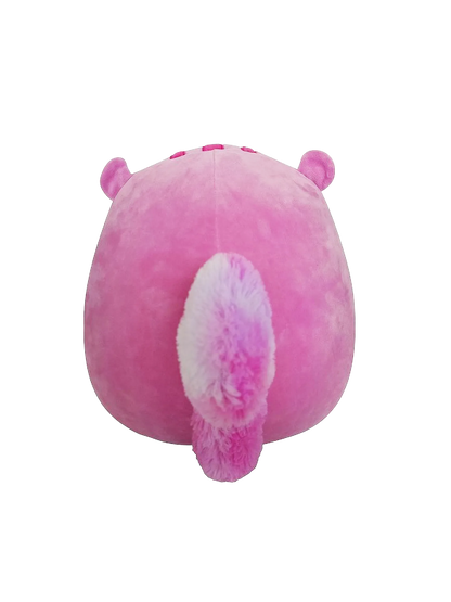 squishmallows-allina-the-squirrel-20-cm-f0/f0acdf65a76542be5f11d36dff118d841fe1e817