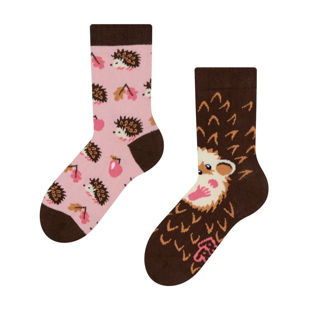 kids-socks-hedgehog-1-dd/ddbf4b5d1940ee3ed809620cc04c17b51e4a338e