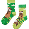 Kids' Socks Meerkats