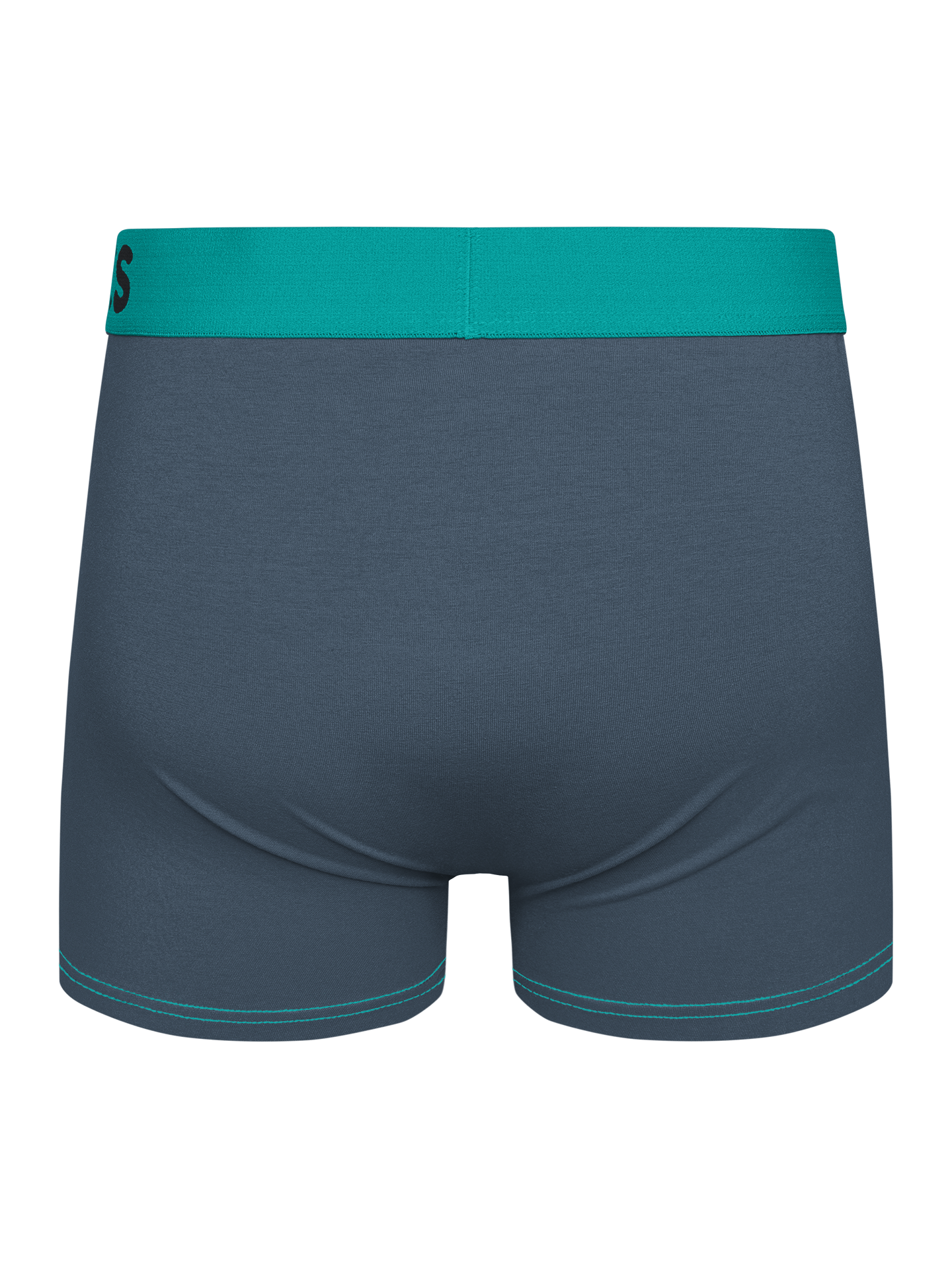 grey-turquoise-mens-trunks-1-f0/f04769fb40acde4bdb8b6af374ef1e80cf8ba041