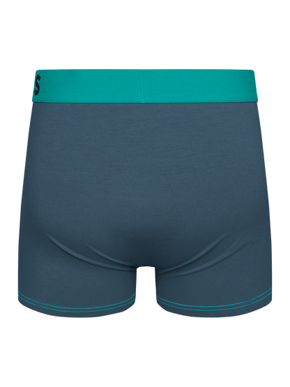 grey-turquoise-mens-trunks-1-f0/f04769fb40acde4bdb8b6af374ef1e80cf8ba041