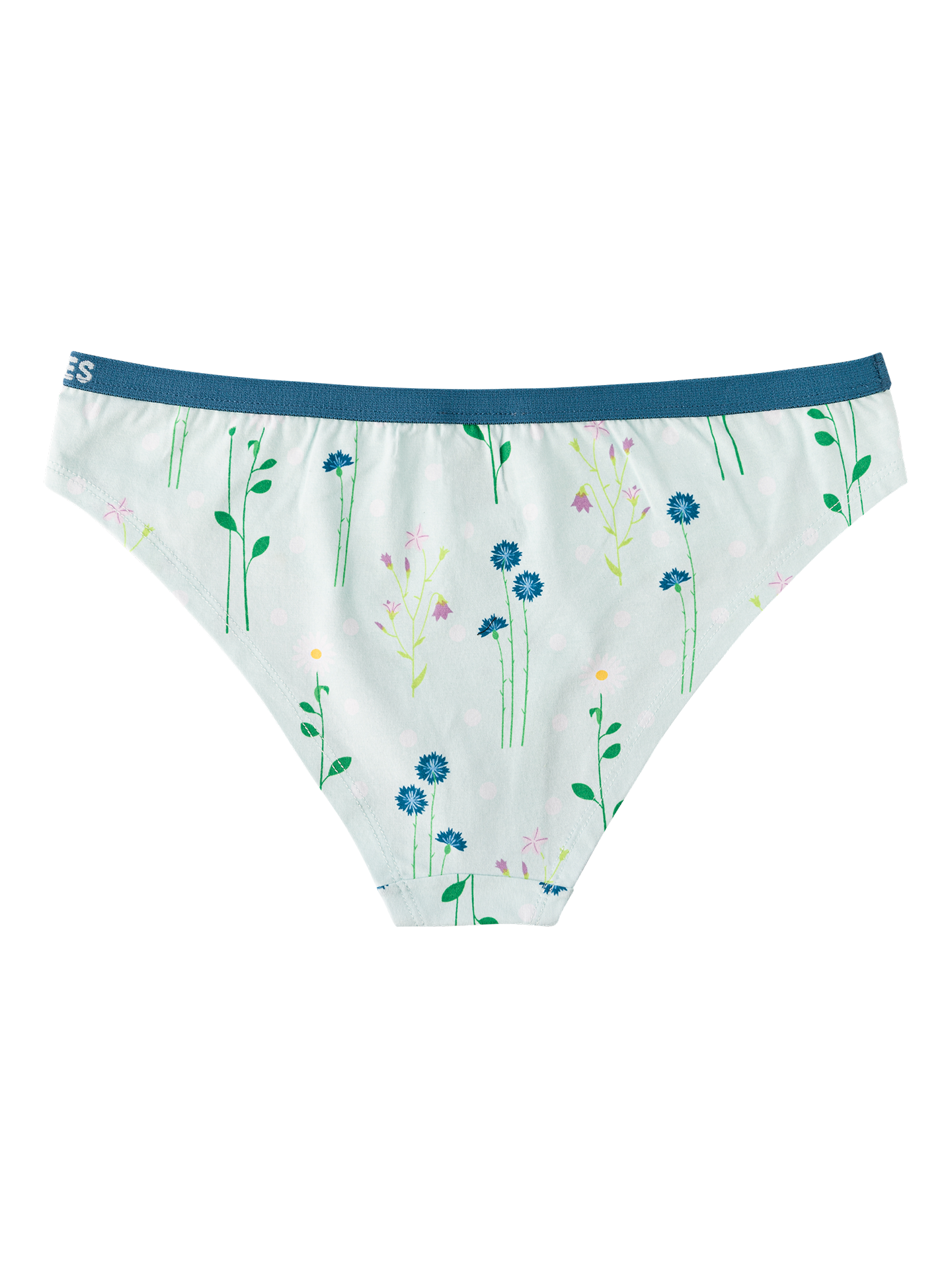 womens-briefs-meadow-flowers-1-dc/dca7bf630b35e36cc88fe063a12aef46b61fc96c