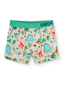 Boys' Boxers Dino Skatepark