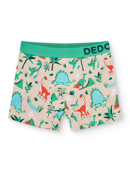 boys-boxers-dino-skatepark-1f/1fb65b7692305b824dd4faea37ef80691af35074