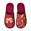 Slippers Golden Beer