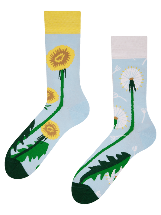 regular-socks-dandelion-spring-02-67/6755d40c4e6dc227de999ebc4e797c418be77b7a