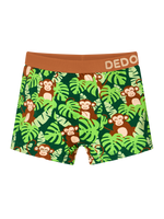 Boys' Boxers Little Monkey