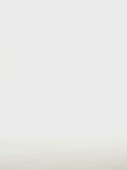 Warm Socks Fluffy Fox